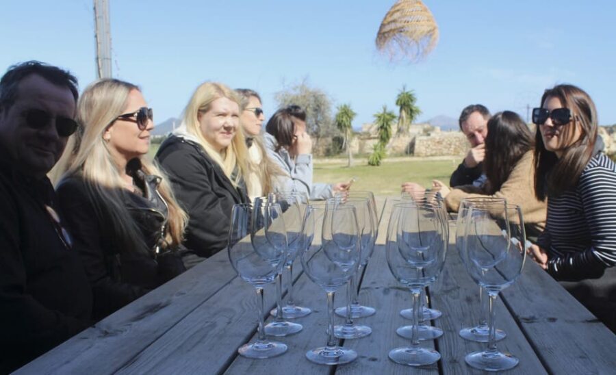 Alcúdia/Can Picafort: Guided Vineyard Visit and Wine Tasting - What You Can Take Home and How to Shop Smart