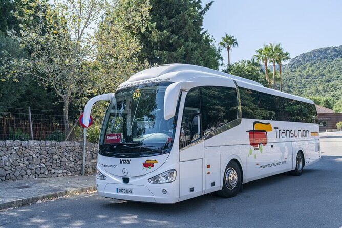 Boat, Tram and Train Tour in Mallorca from the South - Stop 2: Port de Sóller and the Bay Boat Segment