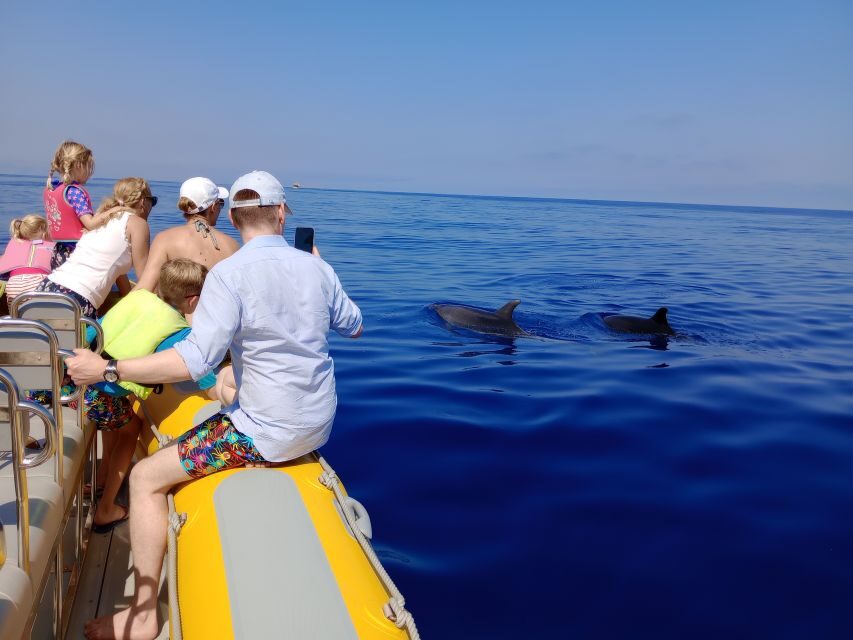 Can Picafort: Dolphin Watching Boat Tour with Swimming - Spotting dolphins: what the captain does that you’ll actually notice