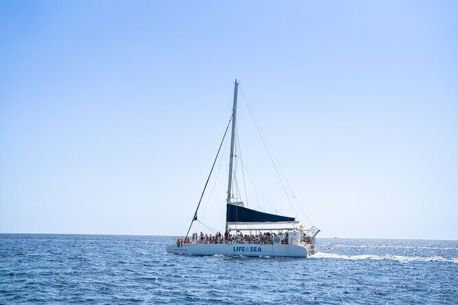 Catamaran with BBQ in the Bay of Palma - Swim Stops and Snorkeling: How to Make the Most of the Sea Time