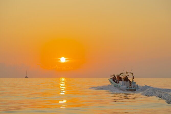 Dolphin watching by boat - FAQ