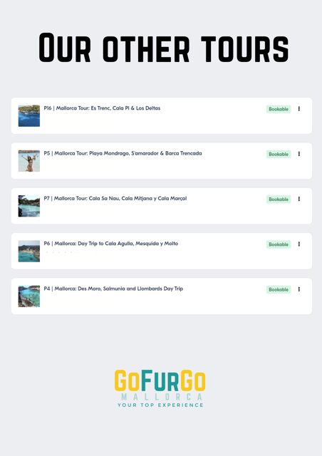 Experinence in Mondrago /S'amarador / Trencada Snorkel y SUP - Should you book GoFurgo Mallorca’s Mondragó/S’amarador/SUP day?
