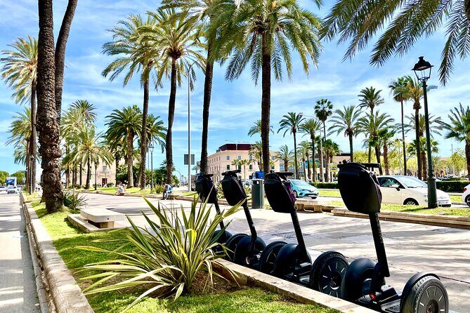 Express 1 hour Segway Tour - Who this Segway tour is best for