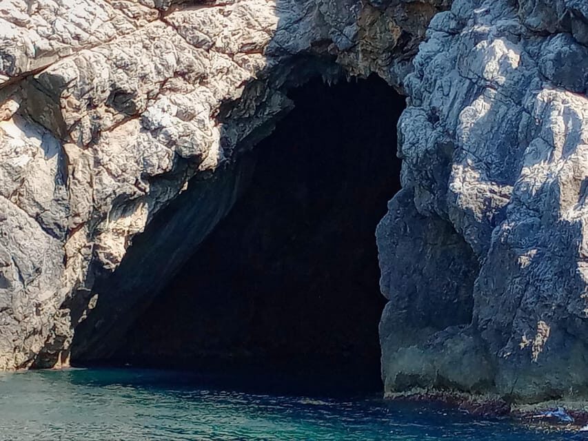 From Can Picafort: Dolphin Watching and Cave Boat Trip - Price and Value: Is $82 Worth It for 3 Hours?