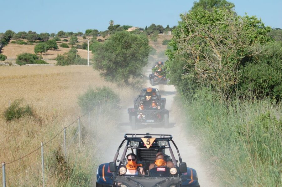 From East Mallorca: Guided Beach and Mountain Buggy Tour - Why a Mountain Buggy Day Beats a Normal Beach Loop