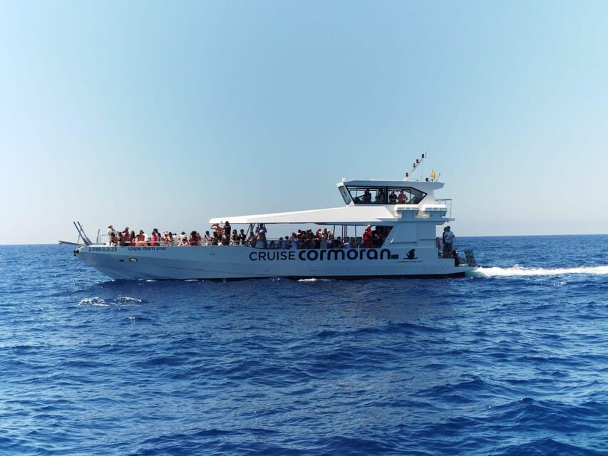 From Palma: 3-Hour Morning Dolphin Watching Boat Tour - Key things you should know before you go