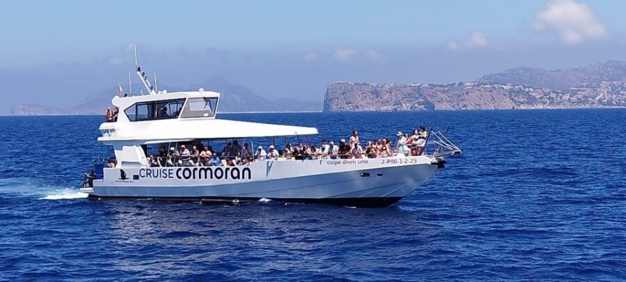 From Palma: 3-Hour Morning Dolphin Watching Boat Tour - Transfers from Playa de Palma, Arenal, Can Pastilla, and La Lonja