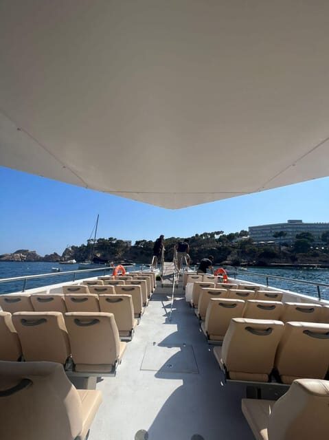 From Palma: Afternoon Dolphin-Watching Boat Tour - Who should book this dolphin-watch cruise (and who should skip it)