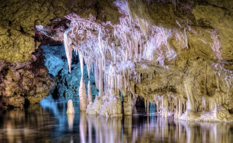 From Palma de Mallorca: Dinosaurland tour - Who this tour is perfect for (and who might want something else)