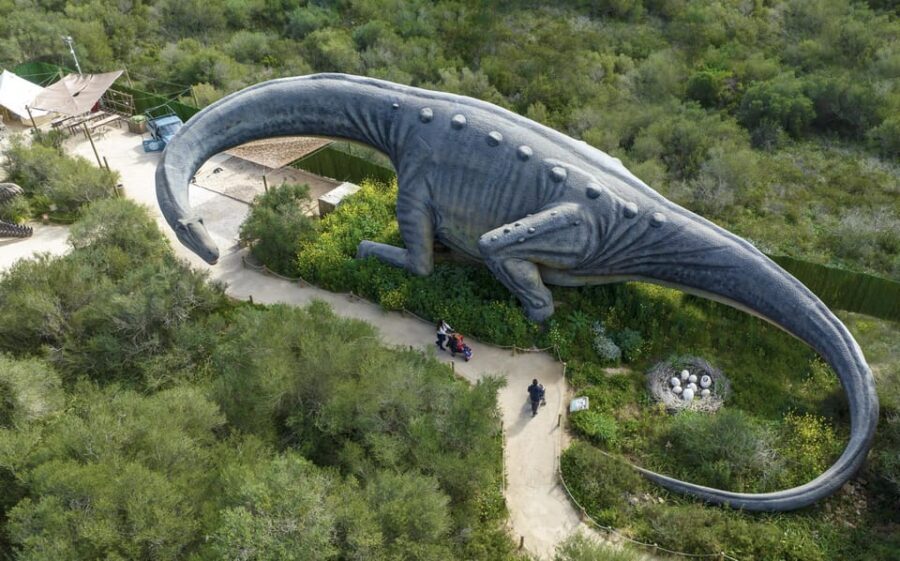 From Palma de Mallorca: Dinosaurland tour - From Palma’s area pickup to Dinosaur Land: an easy day plan