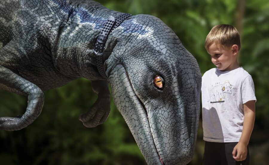 From Palma de Mallorca: Dinosaurland tour - Your guided dinosaur park visit: realistic scale and lots of variety