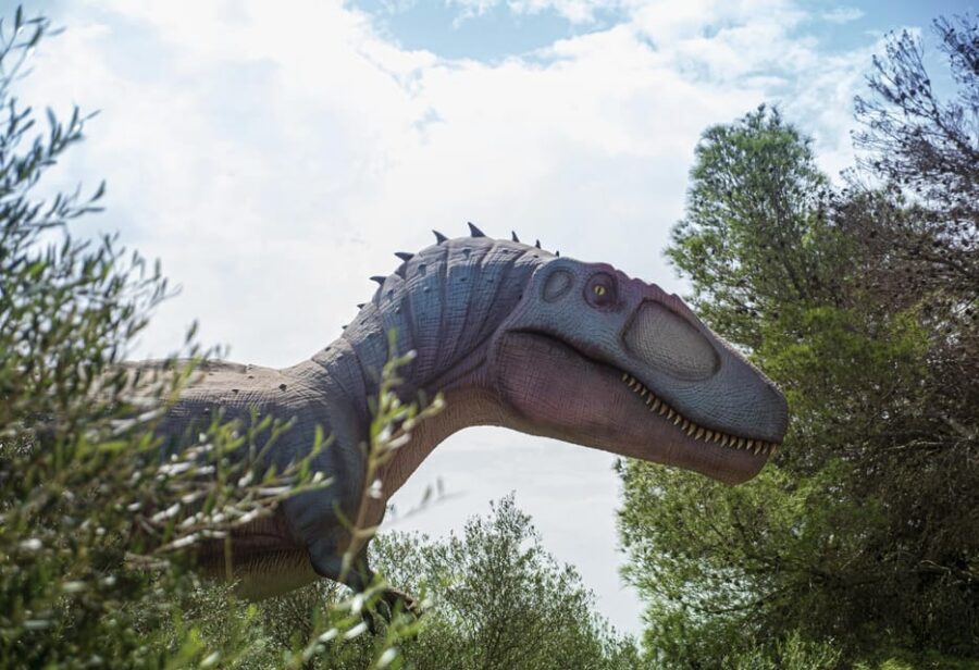 From Palma de Mallorca: Dinosaurland tour - The kids’ show and children’s zone: the secret to keeping everyone happy