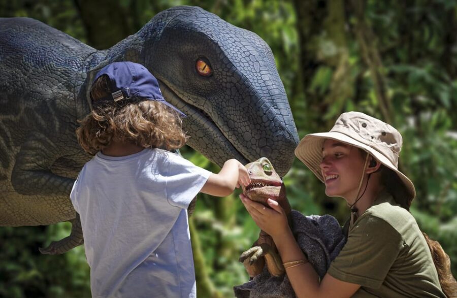 From Palma de Mallorca: Dinosaurland tour - The coach rides: where time feels shorter than it sounds