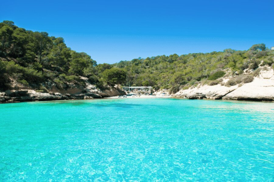 From Palma: Portal Vells Beach and Cave SUP & Snorkel Tour - Playa de Portals Vells: snorkeling and SUP time with the full kit