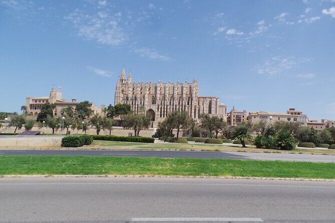 Half Day Trike Tour from Paguera - Meeting point and timing: the day starts in Peguera