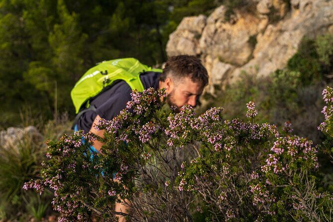 Hiking Tour into the sunset - Port Andratx to Sant Elm - The 3 to 4 hour rhythm: how the climb really feels at golden hour