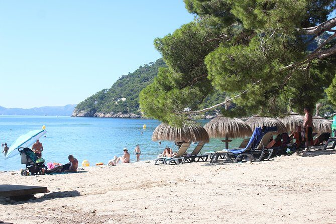 Mallorca: 4-Hour Tour of Formentor by Bus and Boat from North Area - Who should book this Formentor bus-and-boat tour?
