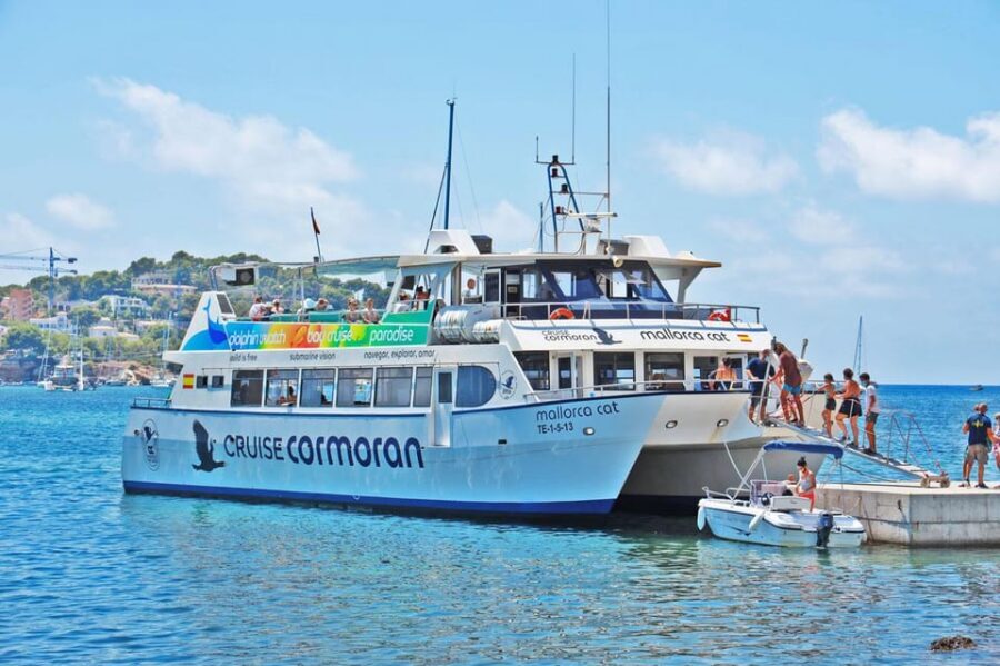 Mallorca: Catamaran Coastal Cruise with Lunch - Catamaran vibes plus underwater windows (yes, you’ll notice them)