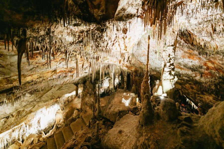 Mallorca: Caves of Drach Day Trip & Optional Caves of Hams - Porto Cristo Free Time: A Good Reset Between Caves
