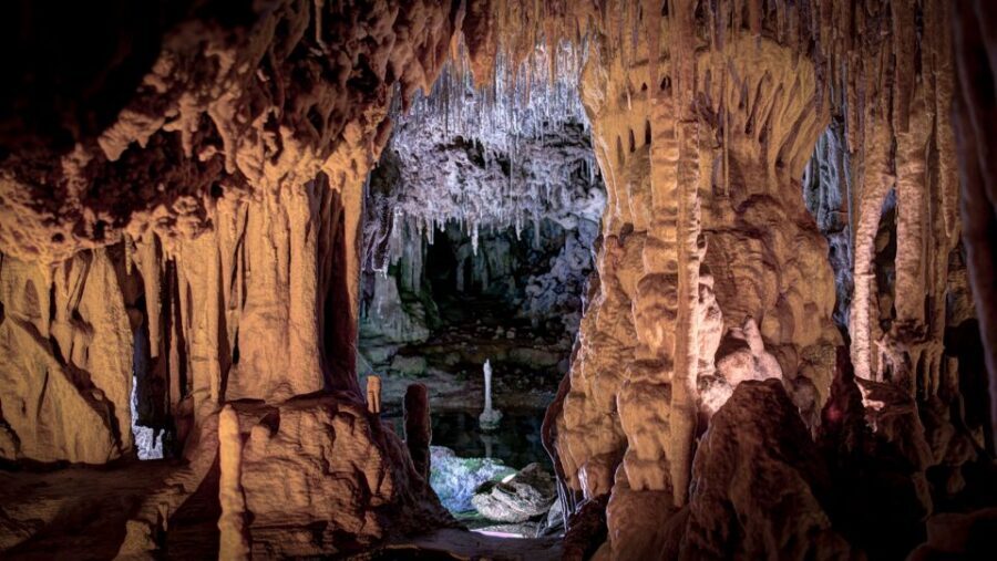Mallorca: Caves of Hams and Dinosaurland Ticket with Pickup - Caves of Hams: hook-like formations, an underground lake, and that cave-music vibe