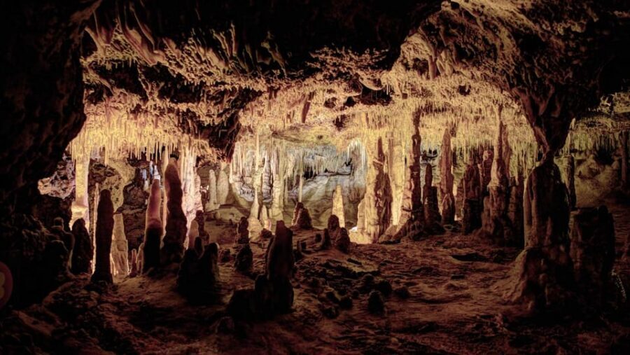 Mallorca: Drach Caves, Lake Martel, & Pearl Factory Day Trip - Lake Martel + the underground concert: why the timing works