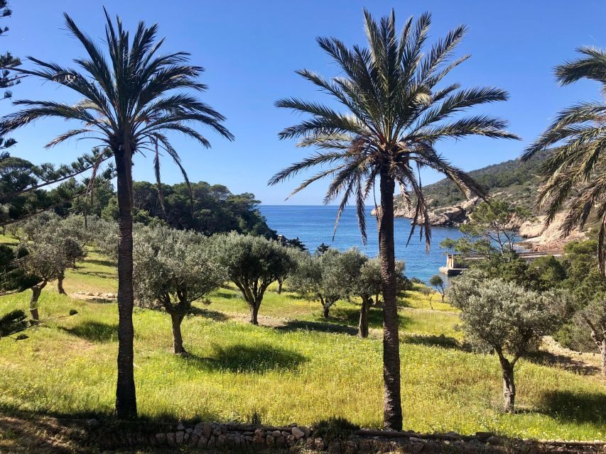 Mallorca: Explore the Island Dragonera with the kayak - Key takeaways before you go