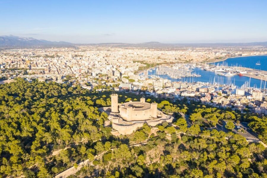 Mallorca: Instafamous Tour of Palma and North coast - Comfort and Group Size: The Real Benefit of the Small-Group Format