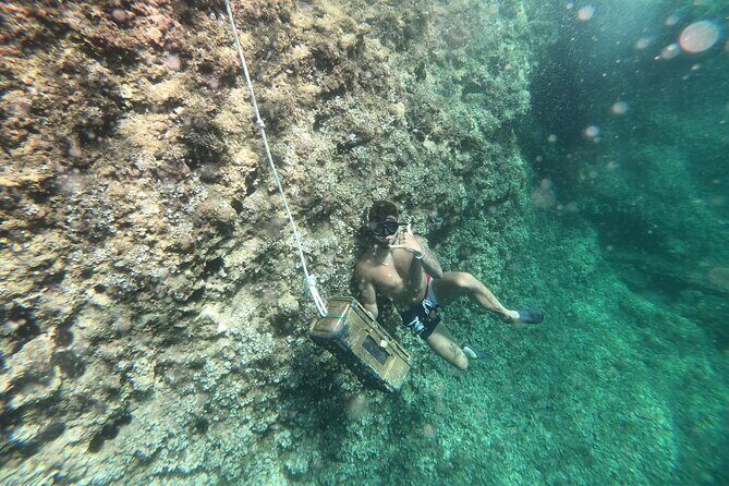 Mallorca: Kayaking, Sea Cave, Cliff Jumping & Snorkel Tour - A 3-hour Mallorca multiadventure that stays busy