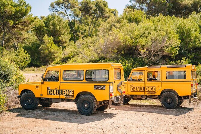 Mallorca: Kayaking, Sea Cave, Cliff Jumping & Snorkel Tour - Pickup from Alcúdia and getting to the meeting point without stress