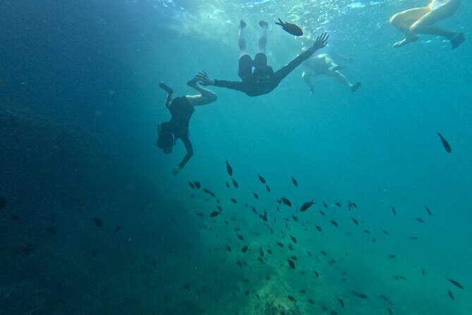 Mallorca: Kayaking, Sea Cave, Cliff Jumping & Snorkel Tour - The short trek and optional cliff jumping spot