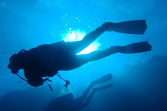 Mallorca: Open Water Diver Course - Key Highlights You’ll Feel Right Away