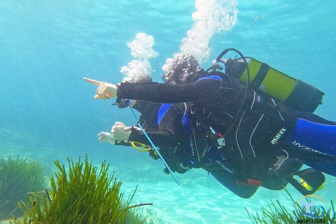 Mallorca PRIVATE Reservation<em>Scuba dive + photo/video – Quick hit checklist before you go’ /></p>
<ul>
<li><strong>Private 1-to-2 instruction</strong> in Palma (no mixed crowd in your group)</li>
<li><strong>Shore start and gradual comfort</strong> from about 1 meter before deeper water</li>
<li><strong>Instructor support that helps you float</strong> if you need it (equipment can inflate like a lifejacket)</li>
<li><strong>GoPro Hero 10 included</strong> for photos and video of your session</li>
<li><strong>45–50 minutes in the water</strong> (about 1 hour total time in-water)</li>
</ul>
<h2 id="palma-shore-to-sea-teaching-the-beginner-advantage">Palma shore-to-sea teaching: the beginner advantage</h2>
<p><img src=