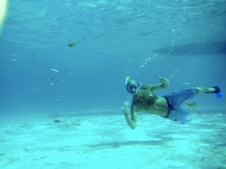 Mallorca : Speedboat, Snorkelling and Swimming Adventure - Who this tour suits best (and who should skip it)