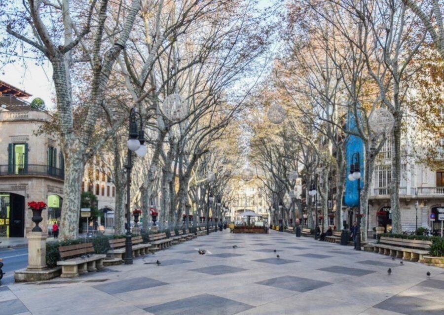 Mallorca: Transfer to Palma self-guided Tour - Key highlights you’ll actually feel