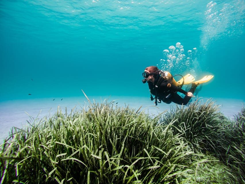 Mallorca: Try Scuba Diving by Boat - What the equipment inclusion actually changes for you