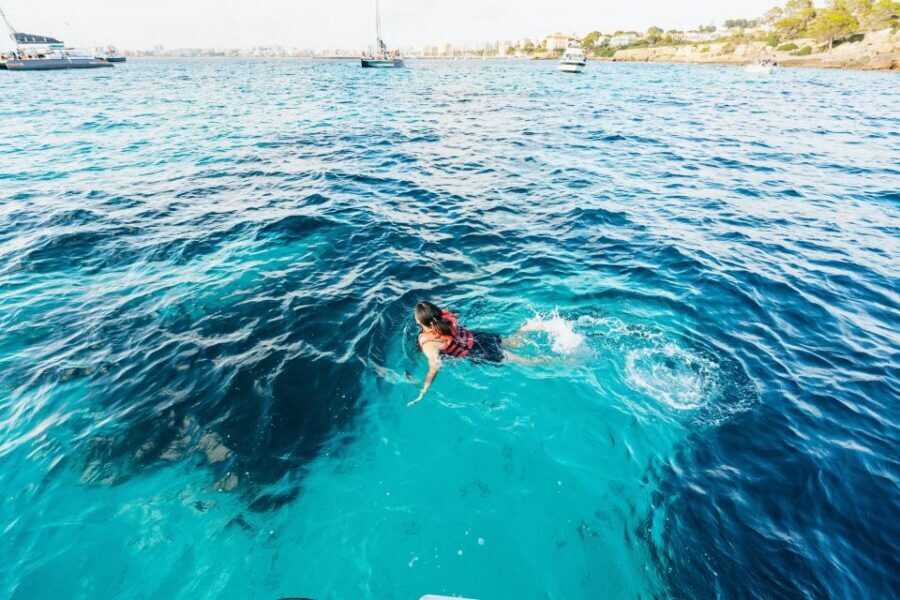 Palma Bay: 1-Hour Speedboat Adventure - Should You Book This Palma Bay Speedboat Adventure?