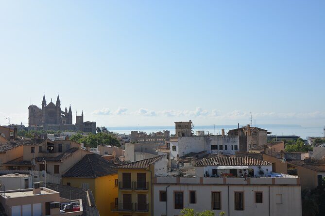 Palma de Mallorca Easy Bike Tour (Small Groups) - Basilica de Sant Francesc and Ramon Llull: Gothic carvings plus a name to remember