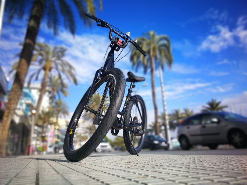 Palma de Mallorca: Guided Bicycle Tour with Tapas & a Drink - Palma Cathedral (La Seu): photo stop with a bigger-city feel