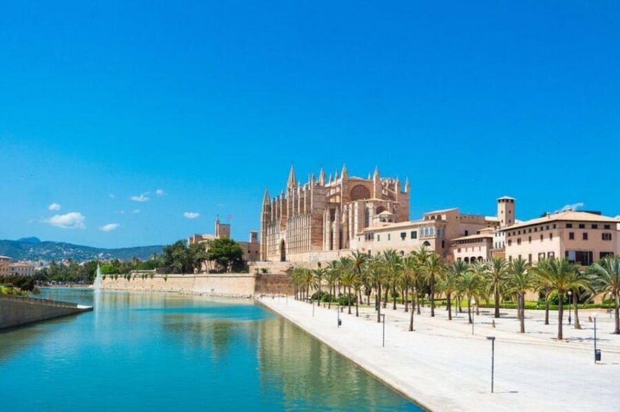 Palma de Mallorca : Must see Walking Tour With A Guide - Starting at Pg. del Born, 4: your tour gets moving quickly