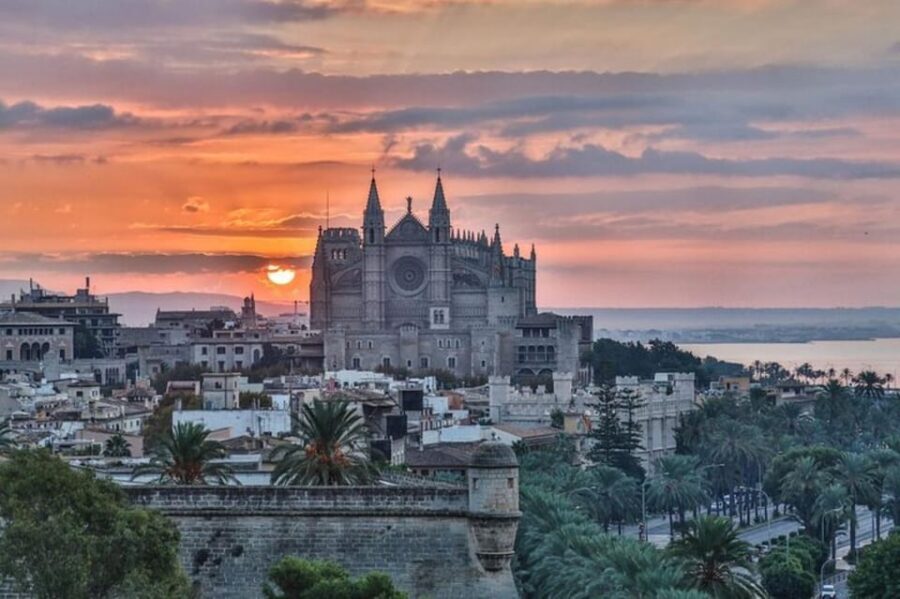 Palma de Mallorca: Private Custom Tour with a Local Guide - The historic center on foot: connecting Palma to Mallorca