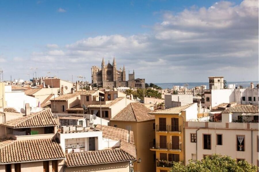 Palma de Mallorca: Private Custom Tour with a Local Guide - How long it takes (2 to 8 hours) and how to choose