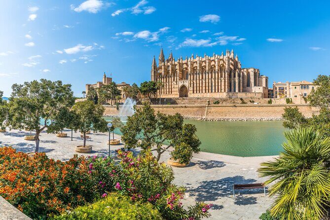 Palma de Mallorca : Private Custom Walking Tour with A Guide - Placa de Cort: Palma’s civic heart and your orientation point