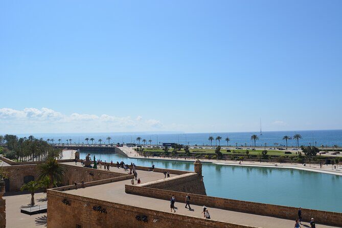Palma de Mallorca Shore Excursion Bike Tour (Transfer Included) - Heat, crowds, and how to ride comfortably