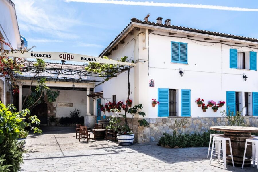 Palma: Distillery Tour with 3 Spirits and Tapas Tasting - The 75-minute guided cellar walk (and why it matters)