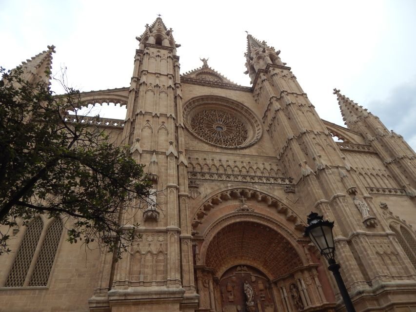 Palma: Old Town Walking Tour & Cathedral Skip-the-Line - Where the tour starts and how to spot your guide