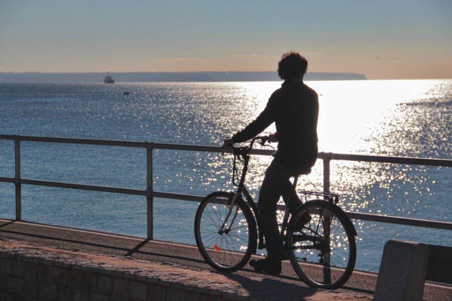 Palma Shore Excursion Bike Tour (Transfer Included) - Plaça del Rosari to Es Baluard Museum: your quick orientation