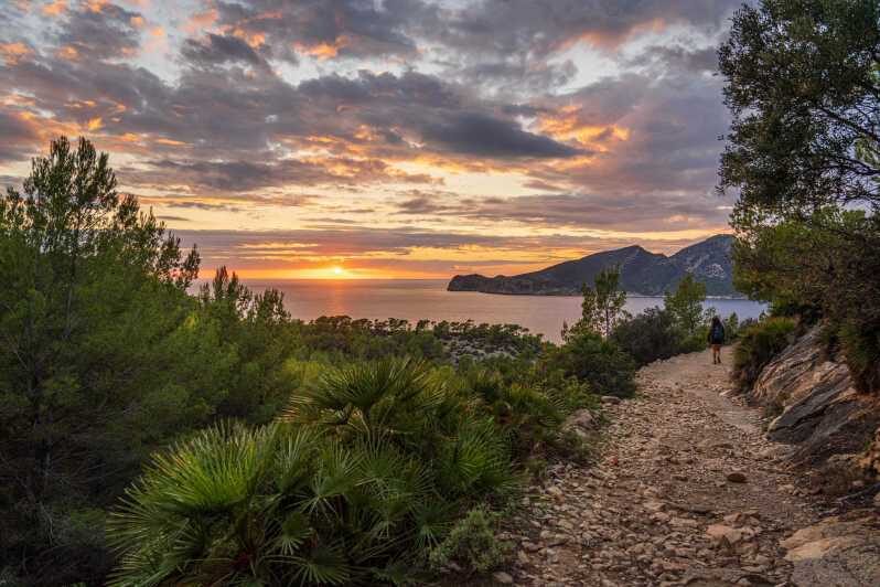 Port Andratx: Guided hiking tour into the sunset to Sant Elm - Port Andratx meeting point: start where the harbor energy is real