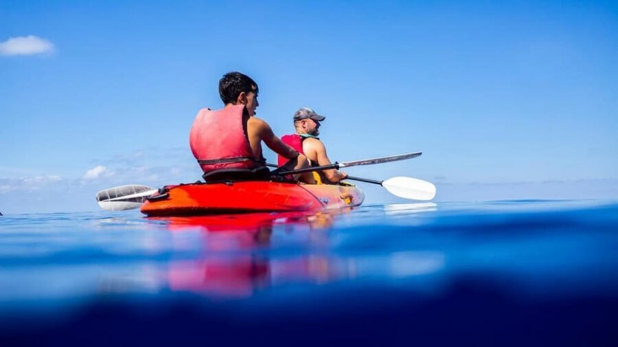 Sant Elm: Guided Kayak Sunset Tour with Picnic in a Cove - Key moments that make this tour worth your time