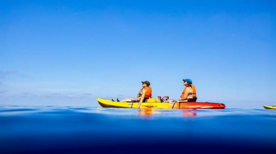 Sant Elm: Guided kayak tour to the Island Dragonera & Hiking - Far de Tramuntana Lighthouse Walk: Views Plus Museum Time