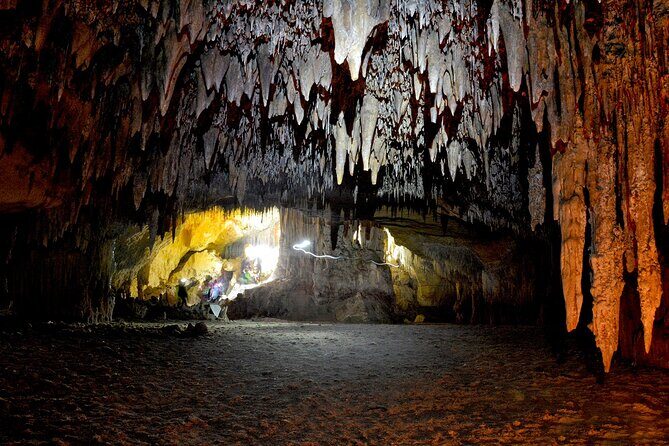 Sea Caving Excursion by Boat in Mallorca - Guides who actually matter: safety, humor, and hands-on help